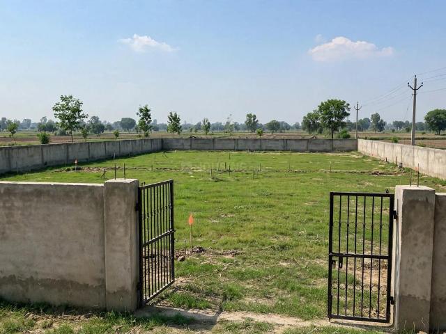 Land for sale in Dankaur, Gautam Buddha Nagar