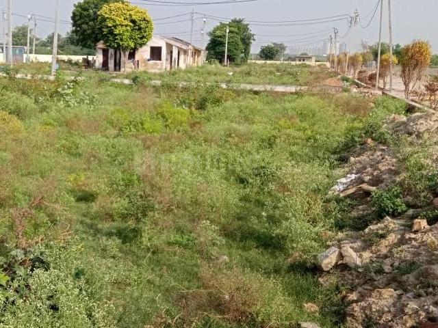 Land for sale in Murshadpur, Gautam Buddha Nagar