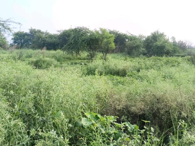 Land for sale in Rohini, Delhi