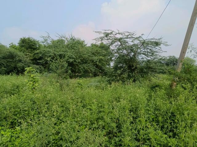 Land for sale in North Delhi, Deri