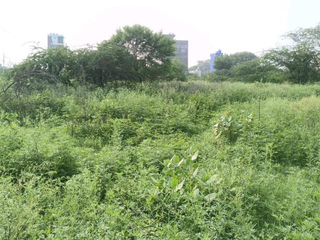 Land for sale in North Delhi, Deri
