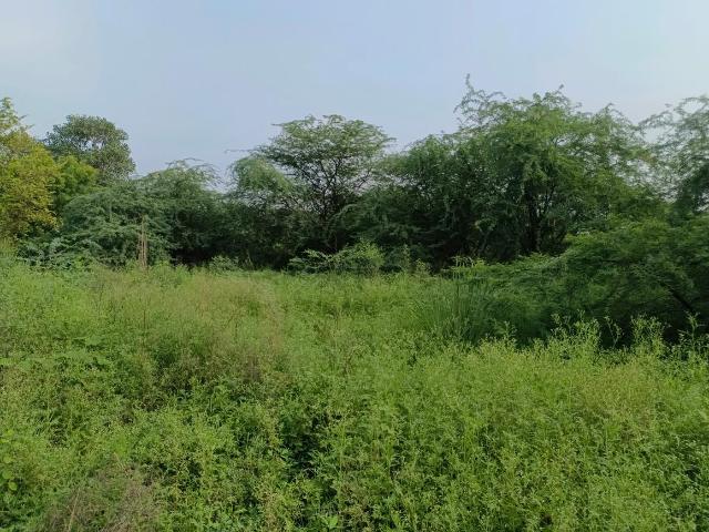 Land for sale in Rohini, Delhi