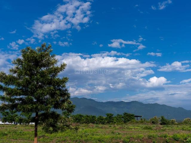 Land for sale in Hariana