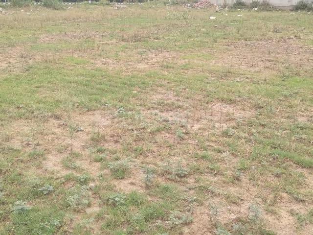 Land for sale in Hariana