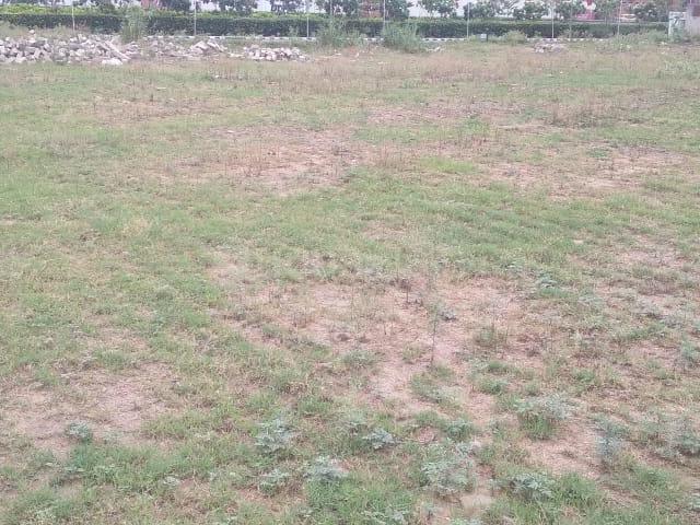 Land for sale in Hariana