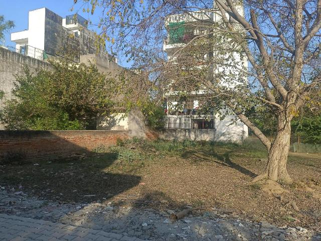Land for sale in Hariana