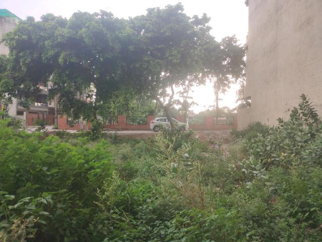 Land for sale in Hariana