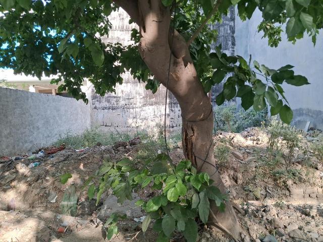 Land for sale in Bahlolpur, Arunachal Pradesh