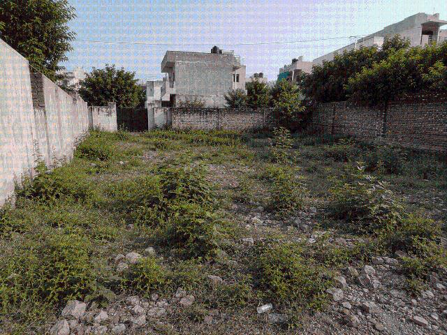 Land for sale in Hariana
