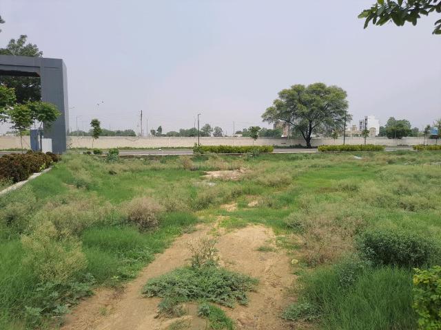 Land for sale in Sohna, Gurugram