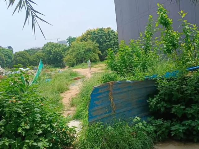 Land for sale in Hariana