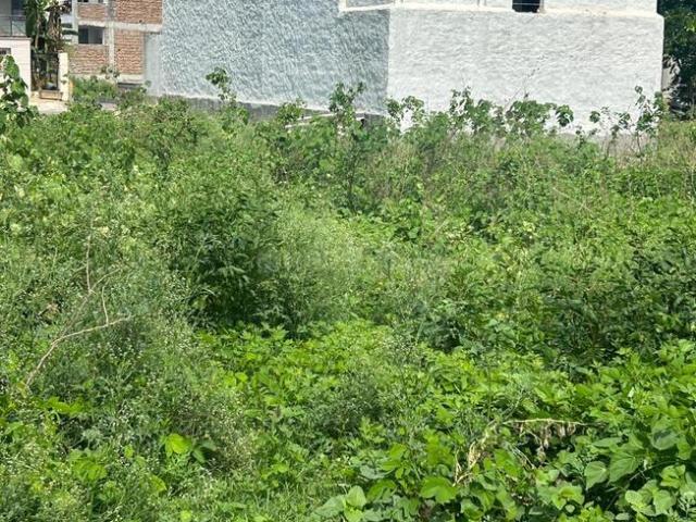 Land for sale in Hariana