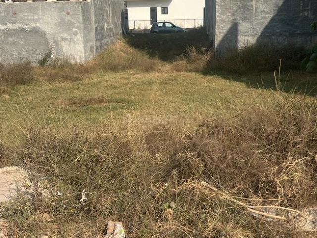 Land for sale in Mohari, Punjab