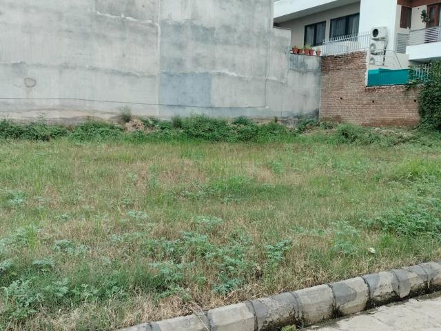 Land for sale in Mohari, Punjab