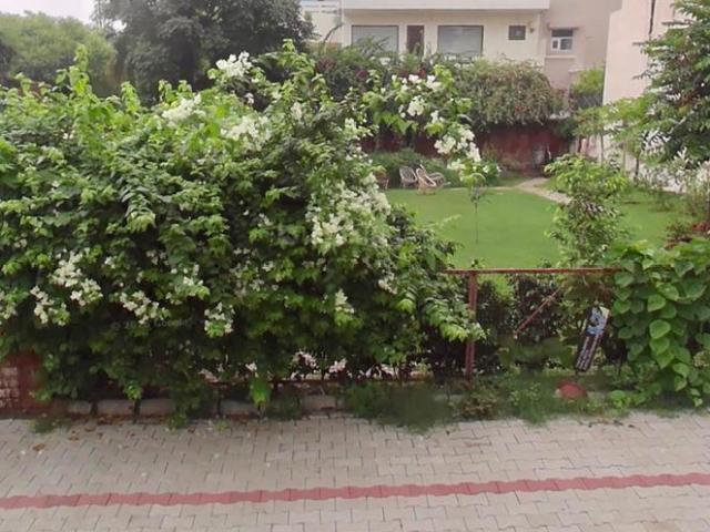 Land for sale in Mohari, Punjab