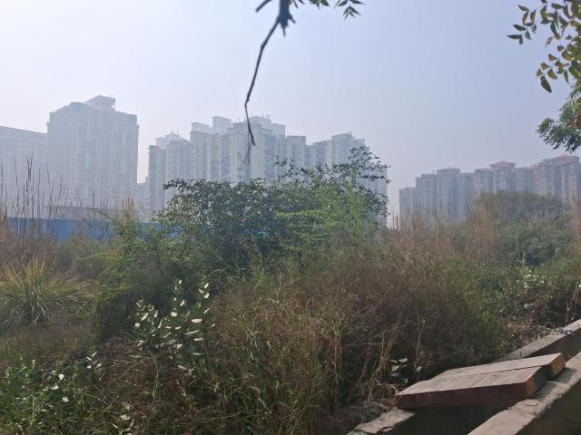 Land for sale in Bahlolpur, Arunachal Pradesh