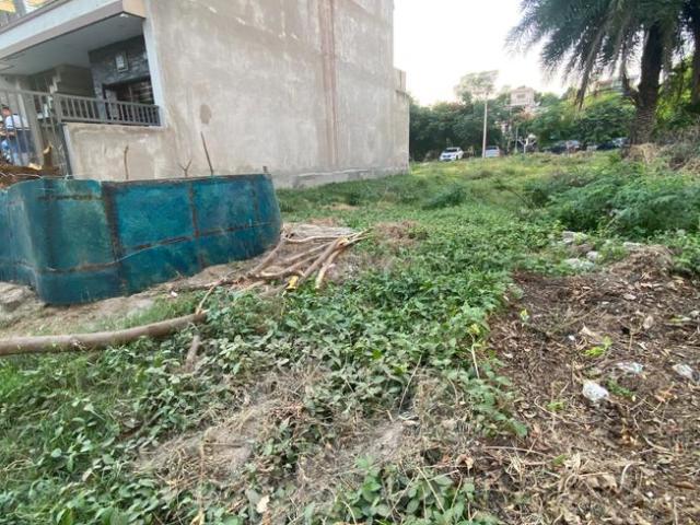 Land for sale in Sector 77, Mohali