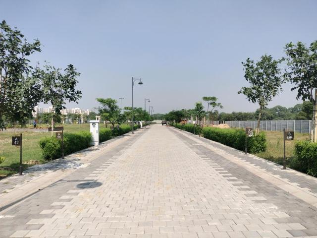 Land for sale in Hariana