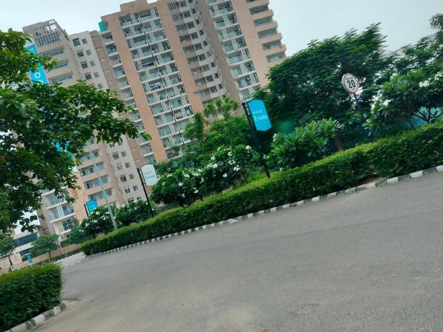 Land for sale in Mohari, Punjab