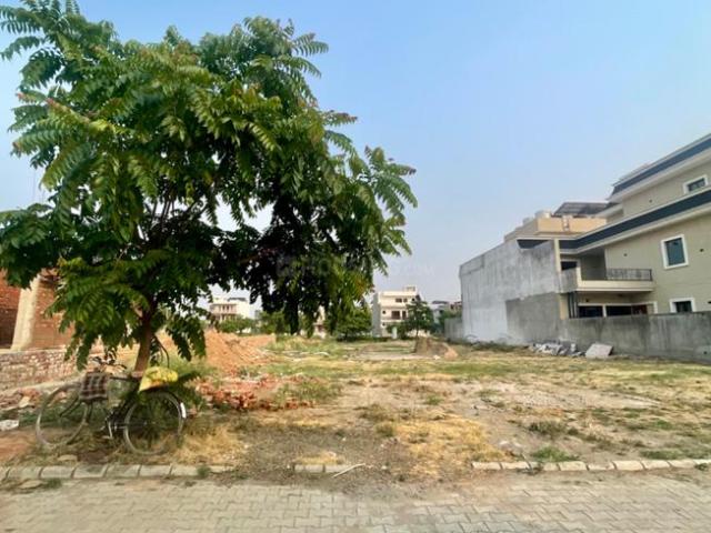 Land for sale in Mohari, Punjab