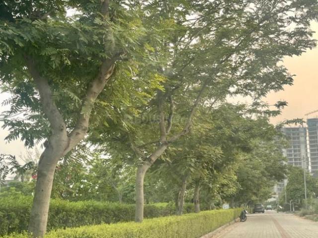 Land for sale in Mohari, Punjab