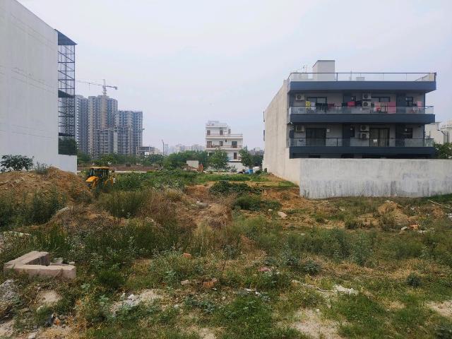 Land for sale in Hariana