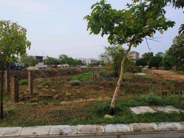 Land for sale in Hariana