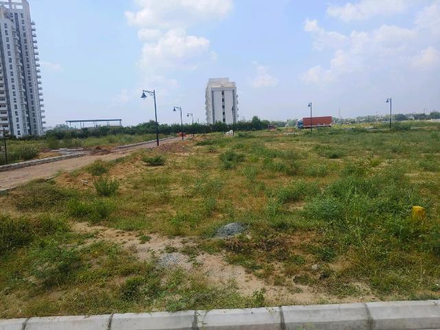 Land for sale in Hariana