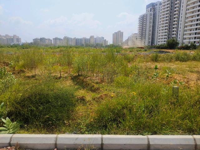 Land for sale in Hariana