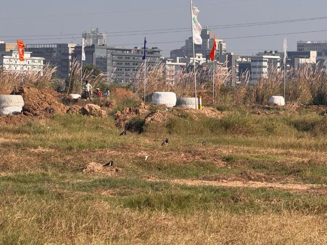 Land for sale in Punjab