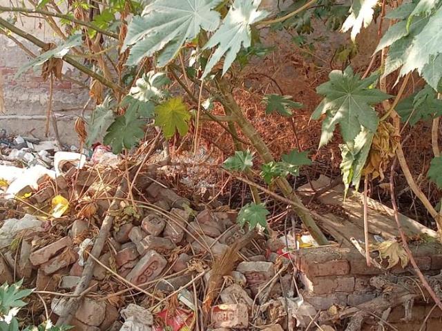 Land for sale in Hariana