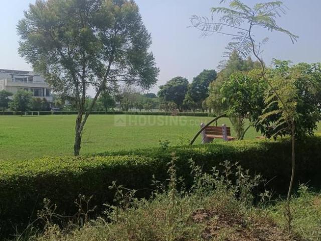 Land for sale in Mohari, Punjab