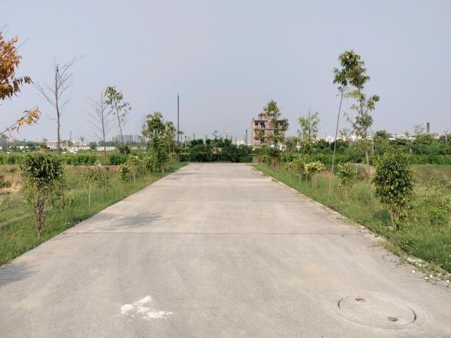 Land for sale in Hariana