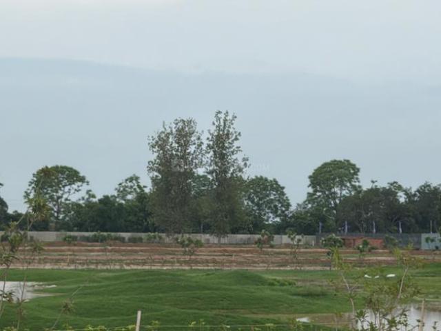 Land for sale in Hariana