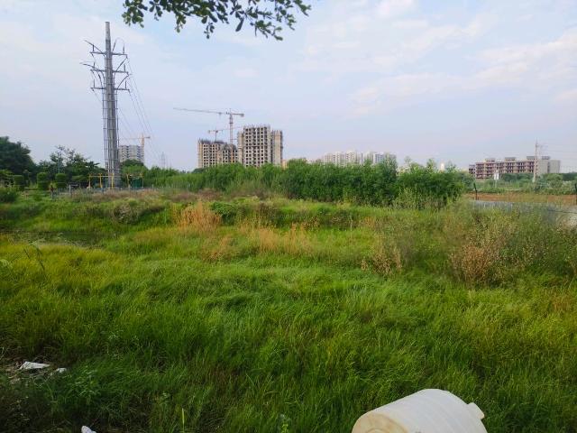 Land for sale in Hariana