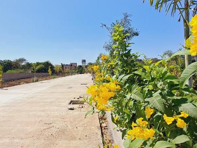 Land for sale in Raipur, Chhattisgarh