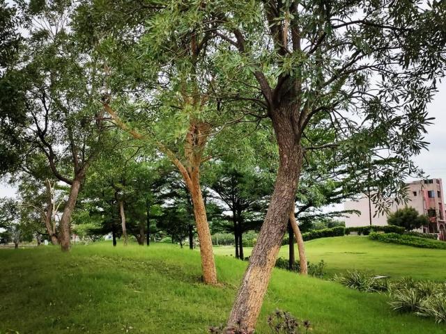 Land for sale in Raipur, Chhattisgarh