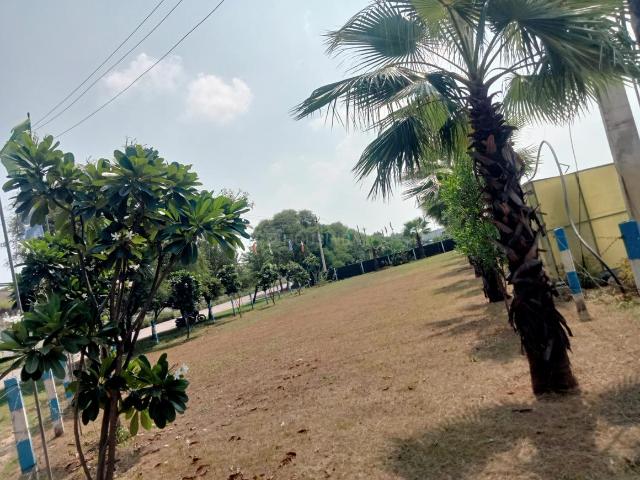 Land for sale in Pink City, Shahpur