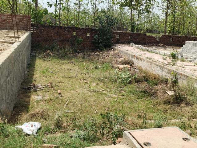 Land for sale in Tora, Arunachal Pradesh