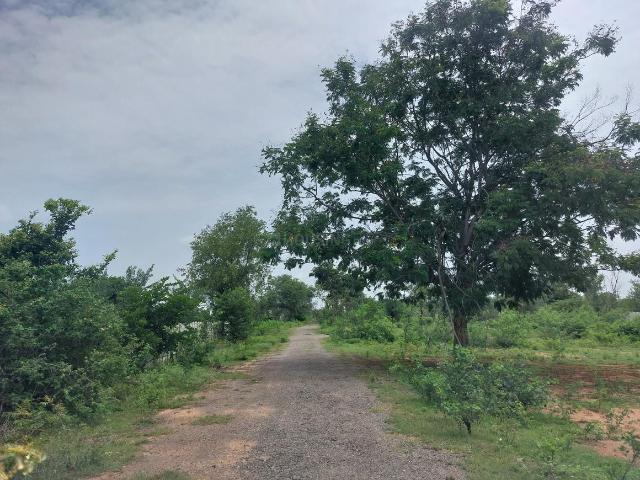 Land for sale in Ranga Reddy, Shadnagar