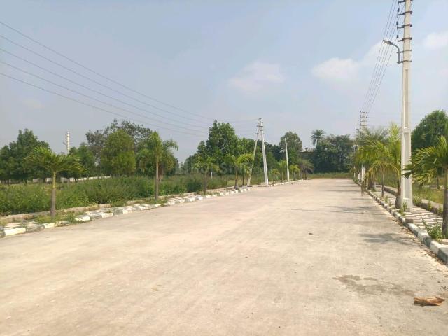 Land for sale in Ranga Reddy, Shadnagar