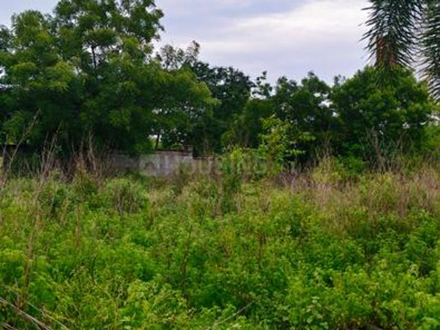 Land for sale in Ranga Reddy, Shadnagar