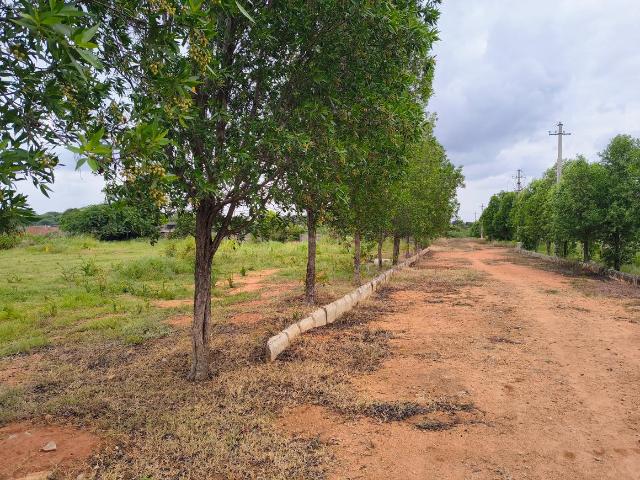 Land for sale in Ranga Reddy, Telangana