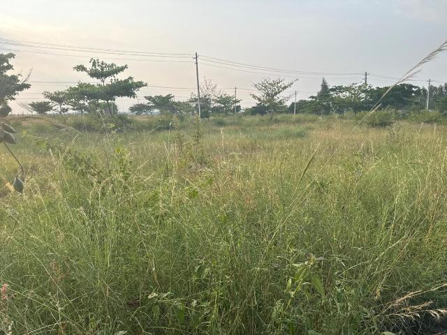 Land for sale in Kolar, Karnataka