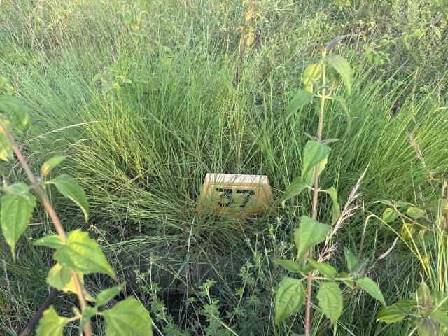 Land for sale in Byranahalli, Kolar