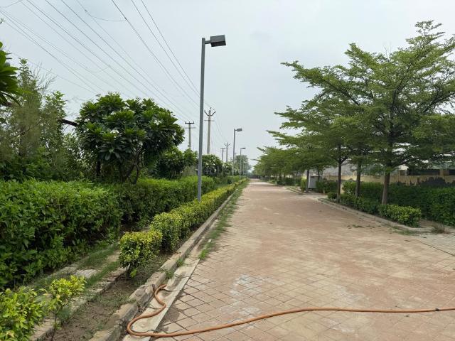 Land for sale in Hariana