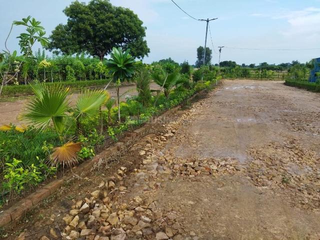 Land for sale in Bihar