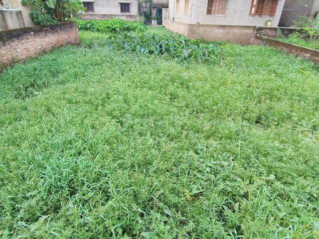 Land for sale in South 24 Parganas, West Bengal