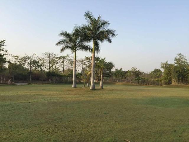 Land for sale in Gujarat