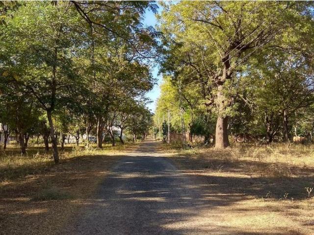 Land for sale in Gujarat